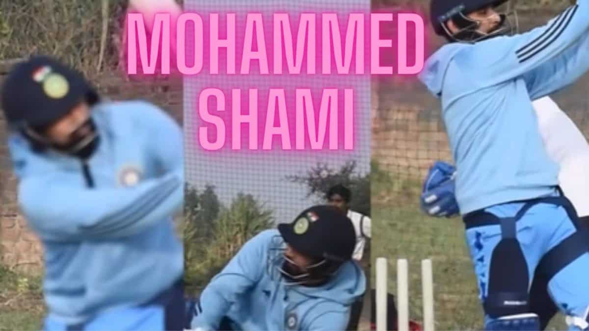 mohammed shami wife